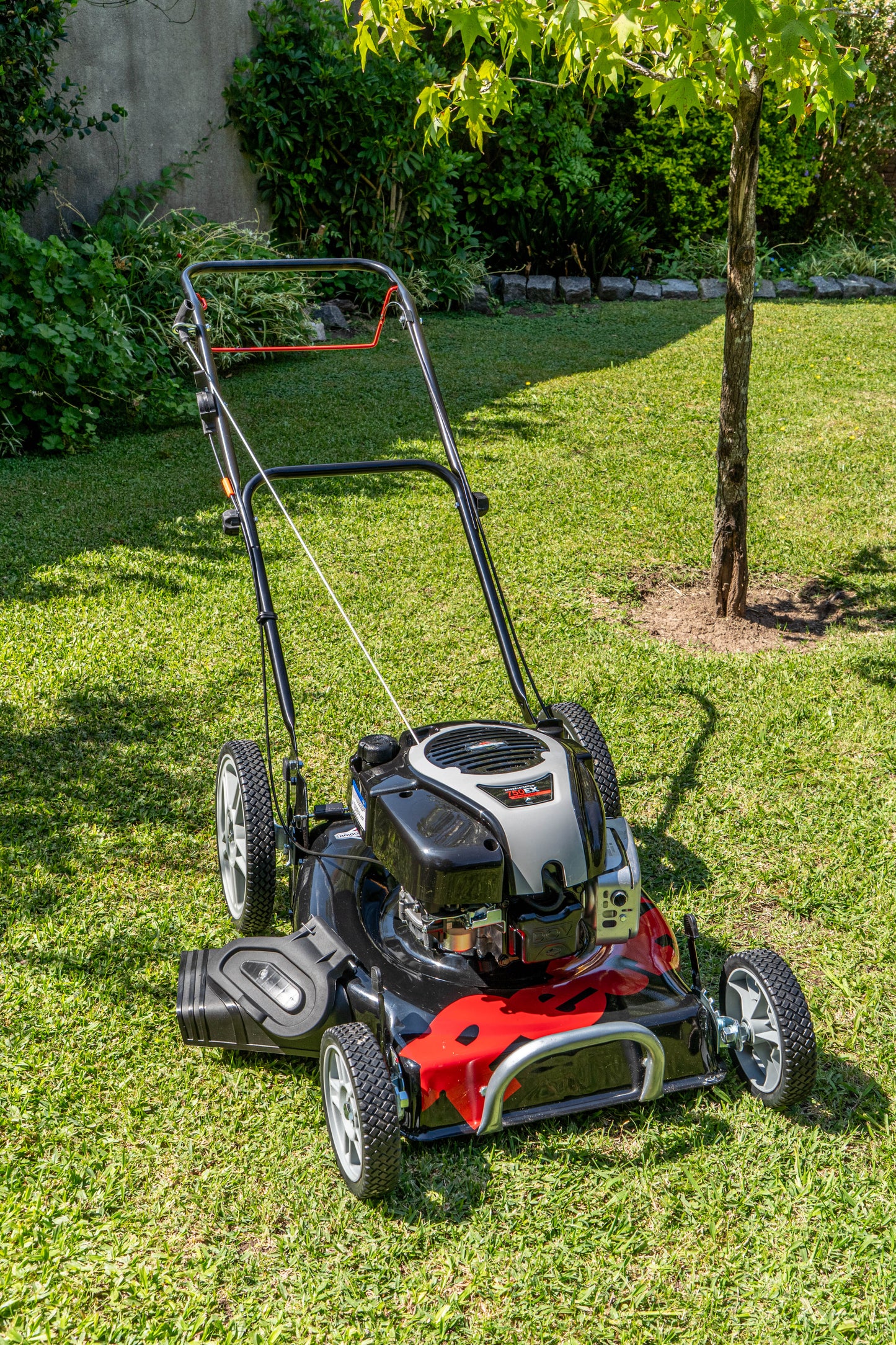Cortadora de cesped Naftera PROFESIONAL 750 2en1