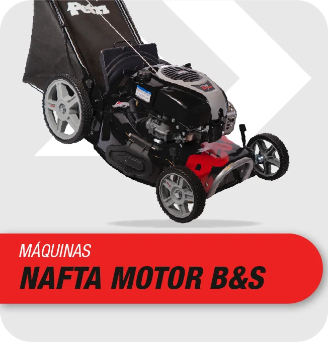 Máquinas Nafteras Motor B&S