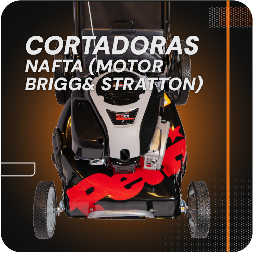 Cortadoras Nafta Motor Briggs & Stratton