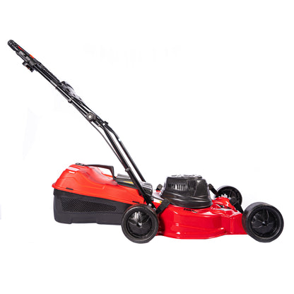 Cortadora de cesped 1hp MAX