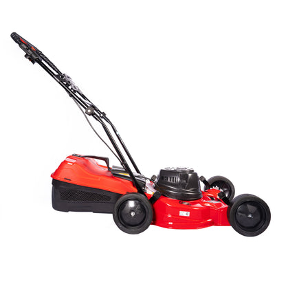 Cortadora de cesped 2hp MAX